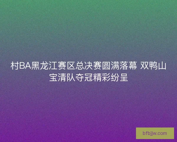 村BA黑龙江赛区总决赛圆满落幕 双鸭山宝清队夺冠精彩纷呈