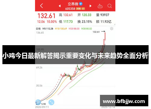 小鸡今日最新解答揭示重要变化与未来趋势全面分析